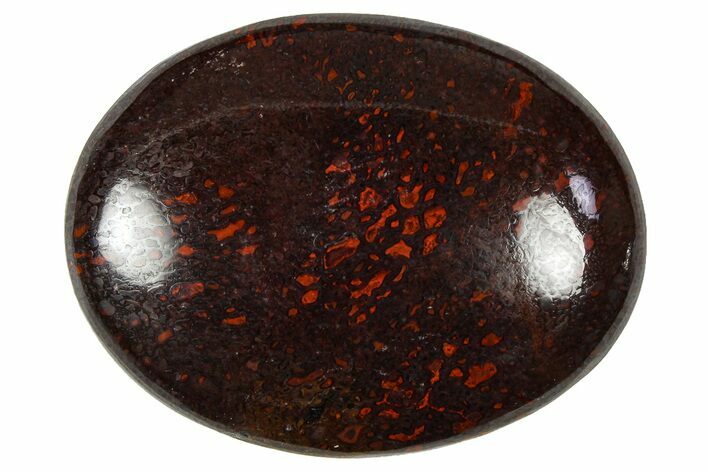 Polished Dinosaur Bone (Gembone) Cabochon - Colorado #370764
